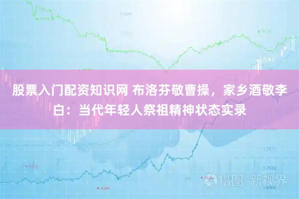 股票入门配资知识网 布洛芬敬曹操，家乡酒敬李白：当代年轻人祭祖精神状态实录